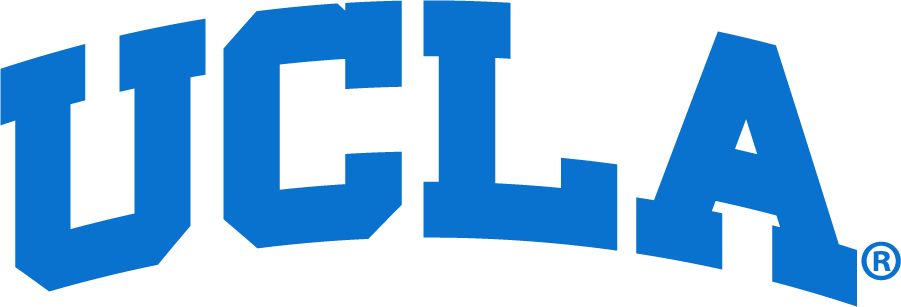 UCLA Bruins 2017-Pres Wordmark Logo v2 DIY iron on transfer (heat transfer)